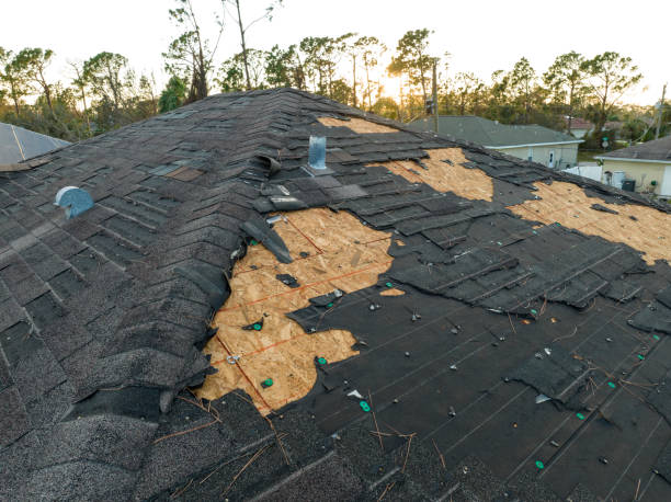 Best Storm Damage Roof Repair  in Progress, PA